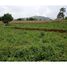  Land for sale in Cimalaka, West Jawa, Cimalaka, Sumedang