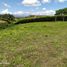  Land for sale in Pereira, Risaralda, Pereira