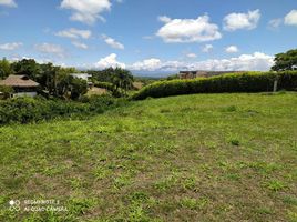  Land for sale in Pereira, Risaralda, Pereira