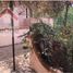 Villa 3 chambre à vendre à Monterrey, Nuevo Leon, Monterrey