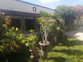 3 Habitación Casa en venta en Comalcalco, Tabasco, Comalcalco