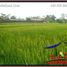  Land for sale in Tampak Siring, Gianyar, Tampak Siring