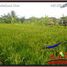  Land for sale in Tampak Siring, Gianyar, Tampak Siring