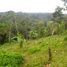  Land for sale in Selemadeg, Tabanan, Selemadeg