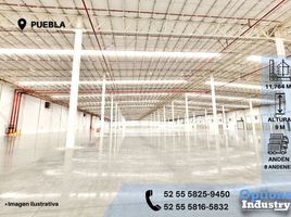 Estudio Casa en alquiler en San Andres Cholula, Puebla, San Andres Cholula, Puebla