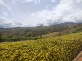  Land for sale in La Mesa, Cundinamarca, La Mesa