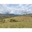  Land for sale in La Mesa, Cundinamarca, La Mesa