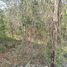  Land for sale in Uman, Yucatan, Uman