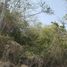  Land for sale in Uman, Yucatan, Uman