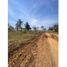  Land for sale in Cordoba, Monteria, Cordoba