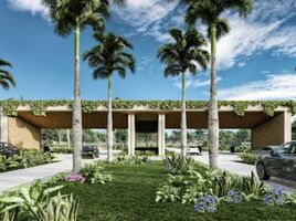  Grundstück zu verkaufen in Cozumel, Quintana Roo, Cozumel, Quintana Roo, Mexiko