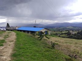 6 Habitación Villa en venta en Choconta, Cundinamarca, Choconta