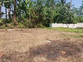  Land for sale in Malang Regency, East Jawa, Pakis, Malang Regency