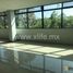 308 m² Office for rent in Benito Juarez, Mexico City, Benito Juarez