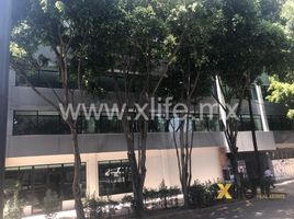 308 m² Office for rent in Benito Juarez, Mexico City, Benito Juarez