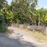  Land for sale in Sewon, Yogyakarta, Sewon, Bantul