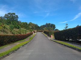  Grundstück zu verkaufen in El Carmen De Viboral, Antioquia, El Carmen De Viboral