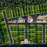  Land for sale in Valladolid, Yucatan, Valladolid