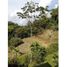  Land for sale in Pereira, Risaralda, Pereira