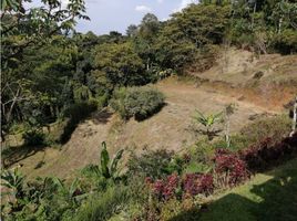  Land for sale in Pereira, Risaralda, Pereira