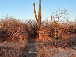  Terreno (Parcela) en venta en Baja California Sur, La Paz, Baja California Sur