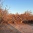  Terreno (Parcela) en venta en Baja California Sur, La Paz, Baja California Sur