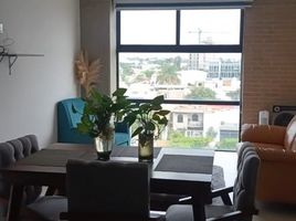 2 Bedroom Condo for rent in Guadalajara, Jalisco, Guadalajara, Jalisco