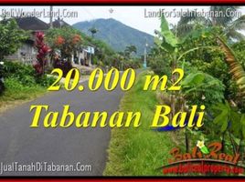  Land for sale in Penebel, Tabanan, Penebel