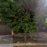 3 Schlafzimmer Haus zu verkaufen in Cuernavaca, Morelos, Cuernavaca
