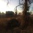  Land for sale in Silao, Guanajuato, Silao