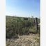  Land for sale in Apodaca, Nuevo Leon, Apodaca