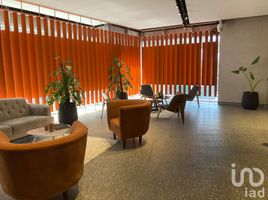 45 平米 Office for rent in 墨西哥, Cuajimalpa De Morelos, Mexico City, 墨西哥