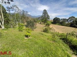  Land for sale in Sabaneta, Antioquia, Sabaneta