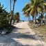  Grundstück zu verkaufen in Sinanche, Yucatan, Sinanche