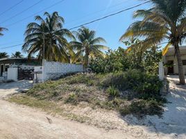  Grundstück zu verkaufen in Sinanche, Yucatan, Sinanche