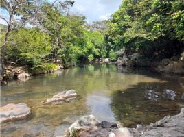 2 Schlafzimmer Haus zu verkaufen in Penonome, Cocle, Penonome, Penonome, Cocle