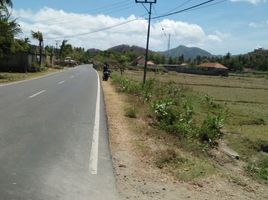  Tanah for sale in Lombok Tengah, West Nusa Tenggara, Praya, Lombok Tengah