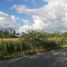 Land for sale in Bangued, Cordillera, Bangued, Abra