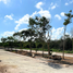  Grundstück zu verkaufen in Conkal, Yucatan, Conkal