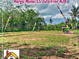  Land for sale in Malang Regency, East Jawa, Kepanjen, Malang Regency