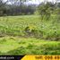  Land for sale in Canar, Azogues, Azogues, Canar