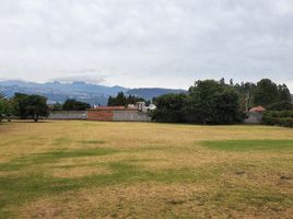  Terrain for sale in Alangasi, Quito, Alangasi