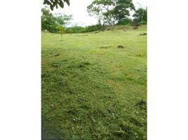  Terreno (Parcela) en venta en Arraiján, Panamá Oeste, Nuevo Emperador, Arraiján