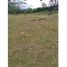  Land for sale in Nuevo Emperador, Arraijan, Nuevo Emperador