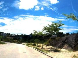  Land for sale in Mandaue City, Cebu, Mandaue City