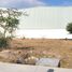  Terreno (Parcela) en venta en El Marques, Querétaro, El Marques, Querétaro