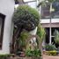 Villa 5 chambre à vendre à Huitzilac, Morelos, Huitzilac