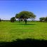  Land for sale in Caleu Caleu, La Pampa, Caleu Caleu