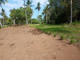  Land for sale in Puerto Princesa City, Mimaropa, Puerto Princesa City, Palawan, Mimaropa