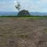  Land for sale in Dosquebradas, Risaralda, Dosquebradas